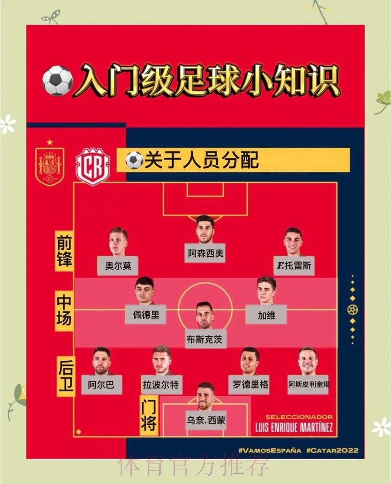 全面解析世界杯比赛胜负预测技巧与方法